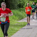 15 km 2019