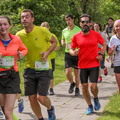 15 km 2019