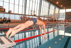 Tournoi Interscolaire de Natation 2017