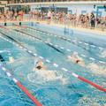 Tournoi Interscolaire de Natation 2017