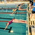 Tournoi Interscolaire de Natation 2017