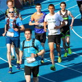 15 km 2016