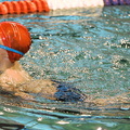 Tournoi Interscolaire de Natation 2015