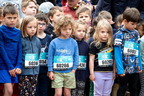 15 km 2026