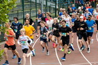 15 km 2026
