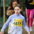 Minicross Interscolaire 2026